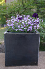 Load image into Gallery viewer, Steel Planter Box - Alpinemetaldesign
