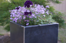Load image into Gallery viewer, Steel Planter Box - Alpinemetaldesign